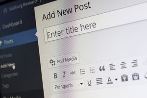 Publicare articole SEO